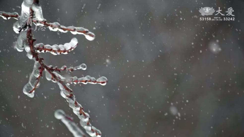 野火聚合电视直播 v6.0.6 官方版