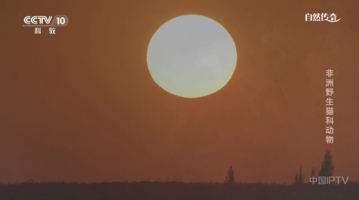 老李米古TV版 v3.5.2 最新版