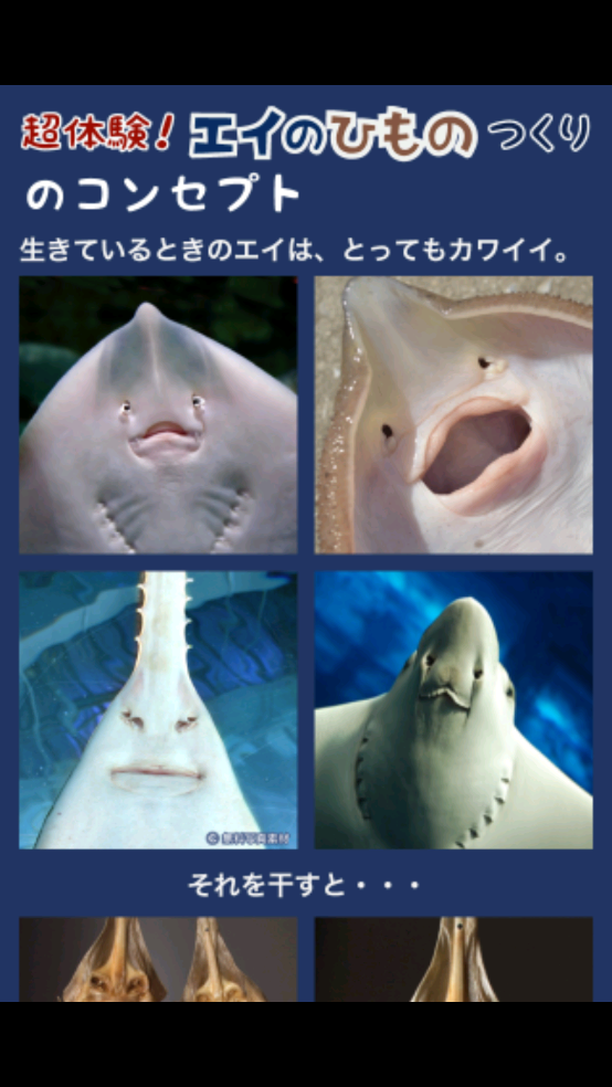 超体验晒鱼游戏(えいのひもの) v2.1.0 安卓版