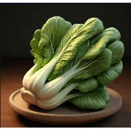 老谭酸菜tv盒子 v2.5.8 最新版 老谭酸菜tv盒子 v2.5.8 最新版