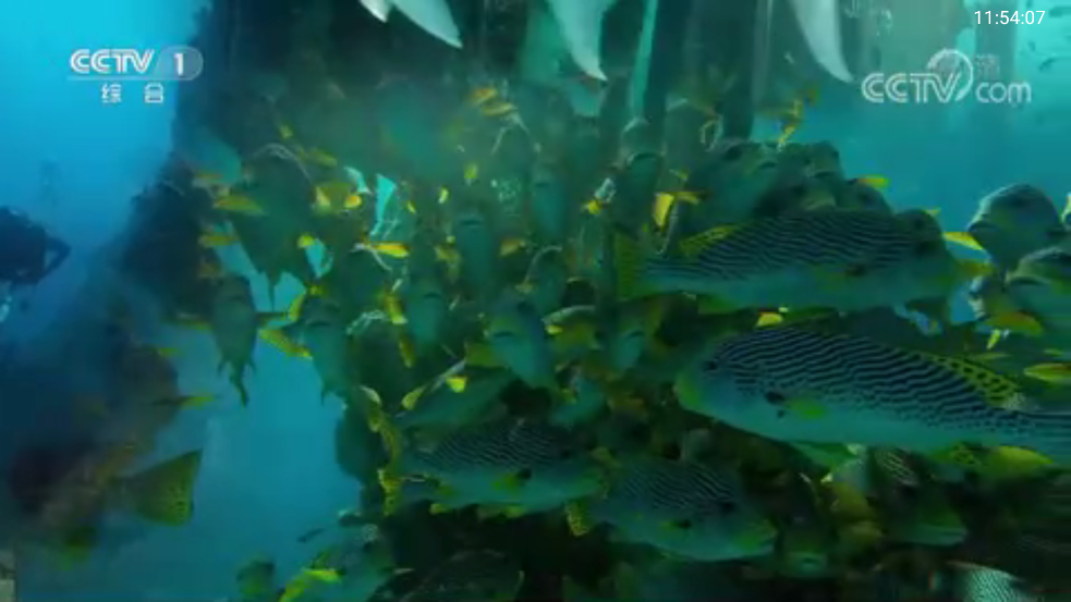 TVBox直播TV版 v1.1 安卓版