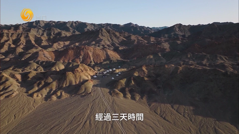 叶子TV电视手机版 v1.1.8 最新版