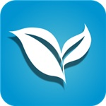 叶子TV电视手机版 v1.1.8 最新版