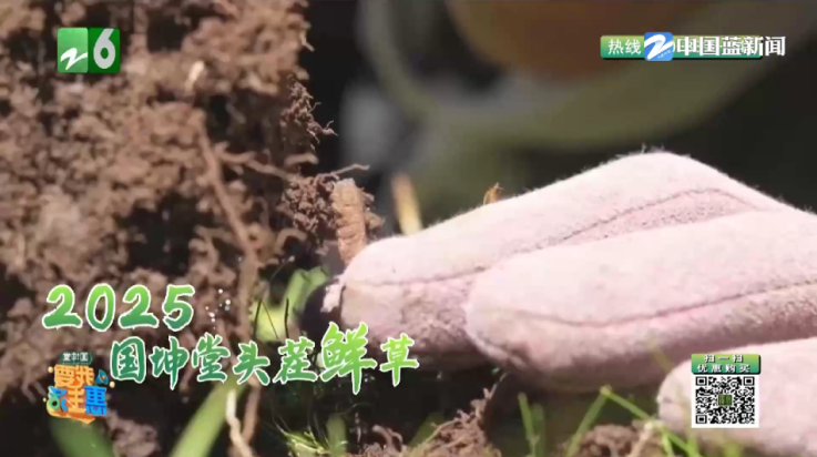 苦瓜tv电视版 v1.0.202300202_1334 最新版