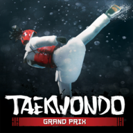 跆拳道大奖赛下载安装(Taekwondo Grand Prix) v2.2.11 安卓版
