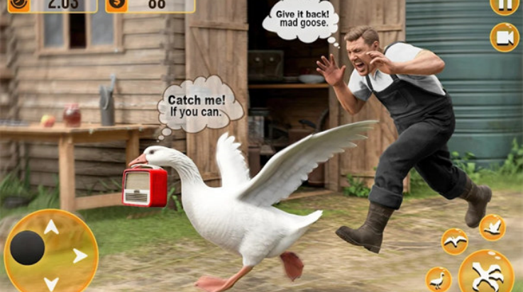 鸭子游戏3D鹅模拟器(Duck Game 3d: Goose Simulator) v1.0.1 最新版