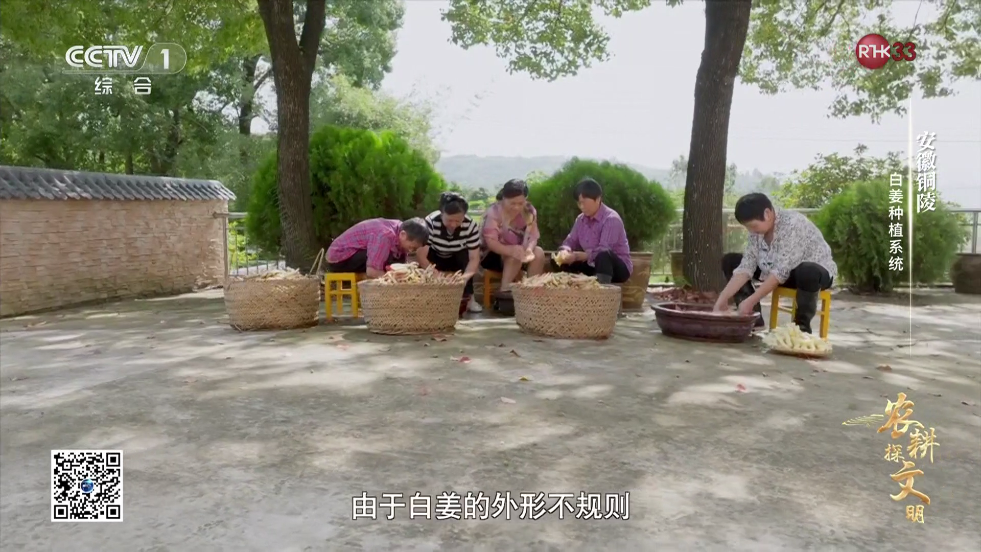 电视直播TV版 v1.0.2.99 安卓版