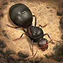 蚂蚁地下王国模拟器(The Ants) v3.66.0 最新版