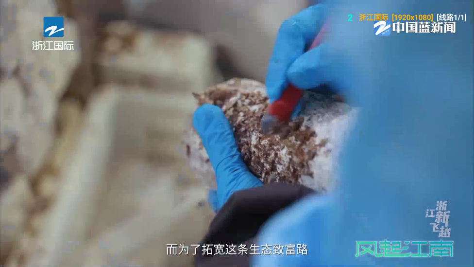 白虾影院TV版 v4.0.36 安卓版