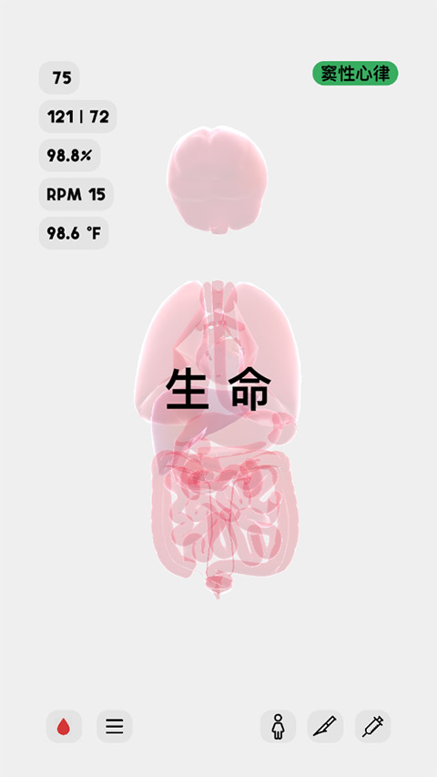 生命人体模拟器life汉化版 v1.0 安卓版
