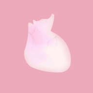 生命人体模拟器life汉化版 v1.0 安卓版