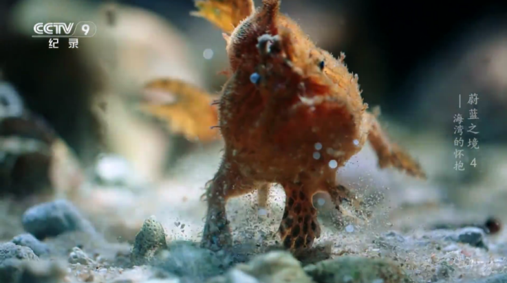 无上影院盒子 v1.0 最新版