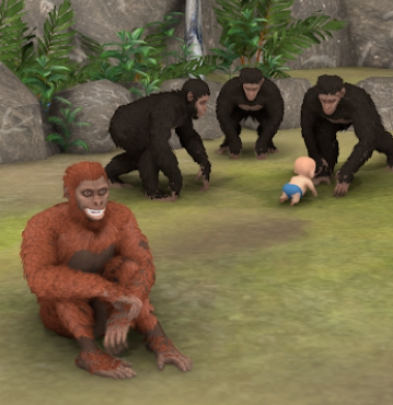 猿的进化Ape Evolution
