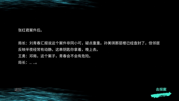 孙美琪疑案王勇游戏