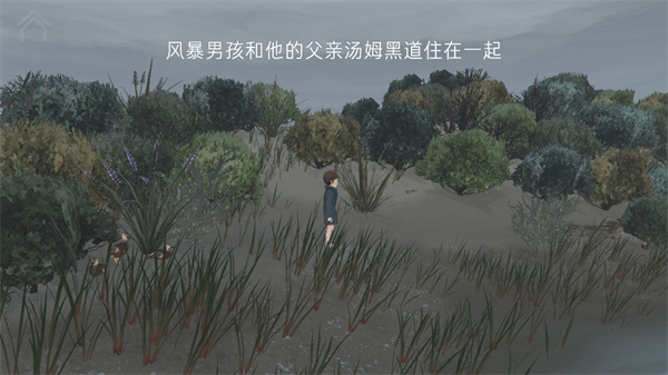 男孩与鹈鹕游戏 男孩与鹈鹕游戏