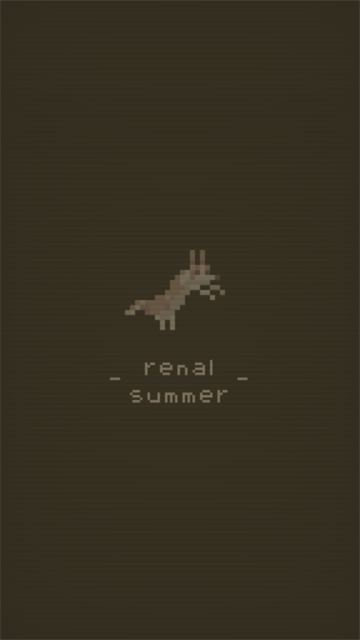 夕阳之夏游戏(renal summer)