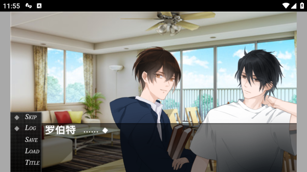 the game of the playful游戏