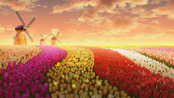 泛滥死者布道游戏