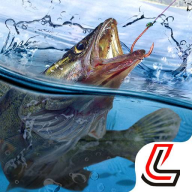 天天钓鱼下载 v1.3 最新版