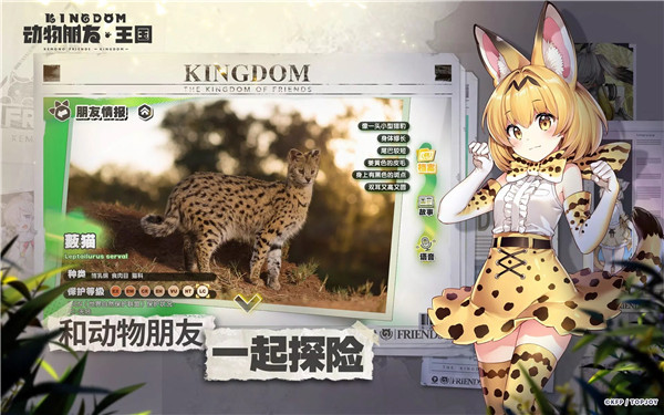 动物朋友王国游戏(Kemono Friends: Kingdom) v1.0.5 最新版