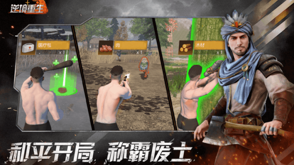 逆境重生游戏 v0.12.8 最新版