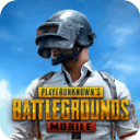 pubg地铁逃生国际服下载(PUBG MOBILE) v3.4.0 最新版