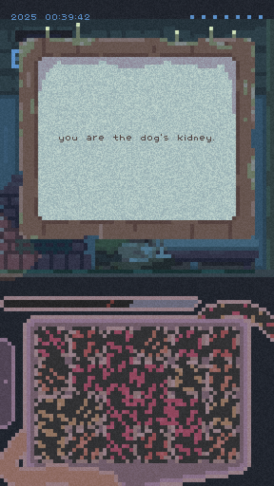 肾脏夏季游戏(renal summer) v1.0.1 完整版