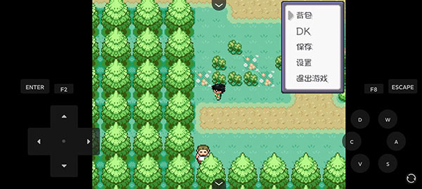 口袋妖怪燃之智3.4汉化版(口袋妖怪燃之智启动器) v1.0 安卓版