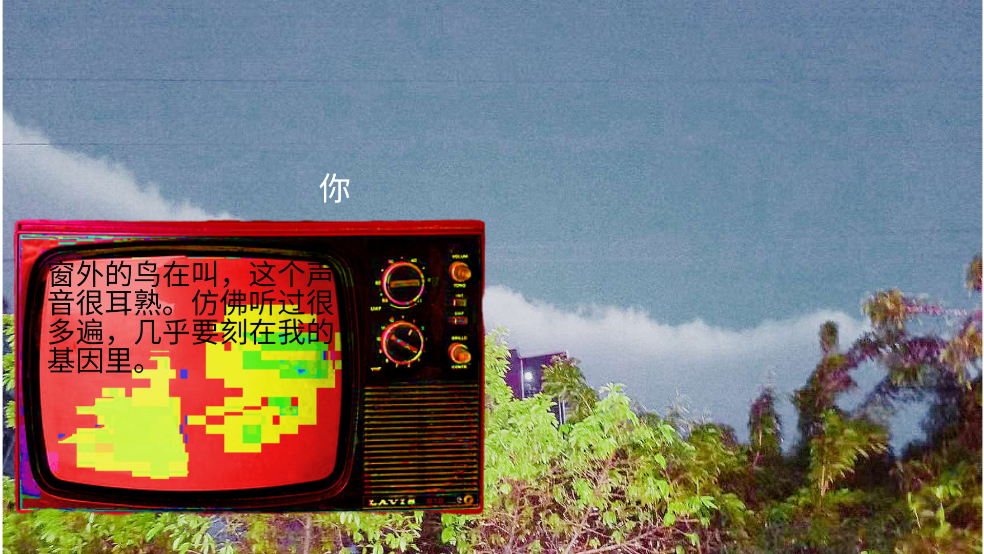 变成鸟的那一天游戏 v1.00.00 安卓版