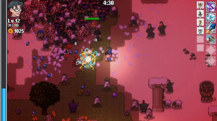 呆子幸存者高级版 v1.0.20240612 最新版