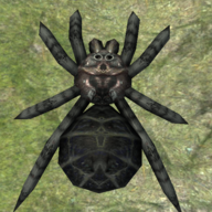 蜘蛛模拟器游戏 v2.4.2 最新版