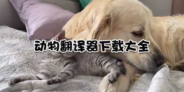 动物翻译器下载大全