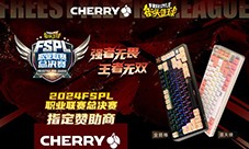 王者无双 CHERRY赞助2024FSPL职业联赛总决赛