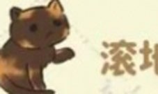 桃源深处有人家猫咪喜好是什么