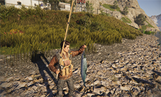 《七日世界》鱼类全收集 让你成为天才小钓手