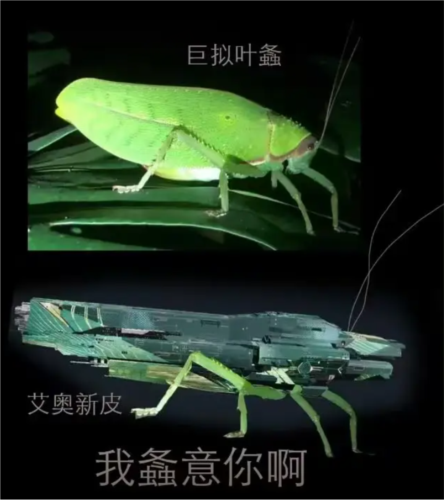 无尽的拉格朗日10