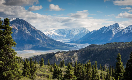 主题壁纸大全免费主题桌面