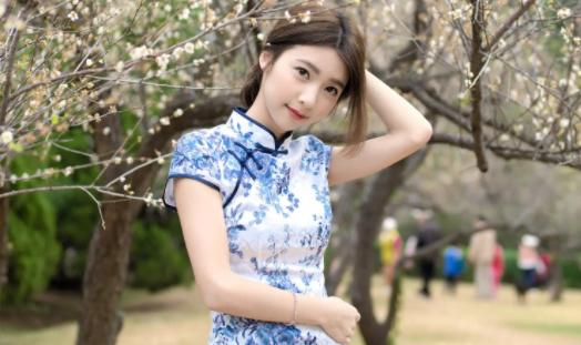 透明壁纸屋软件