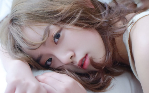 透明壁纸屋软件