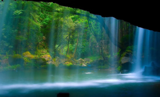 蜻蜓壁纸软件 蜻蜓壁纸软件