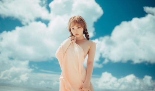 图片水印大师鸭