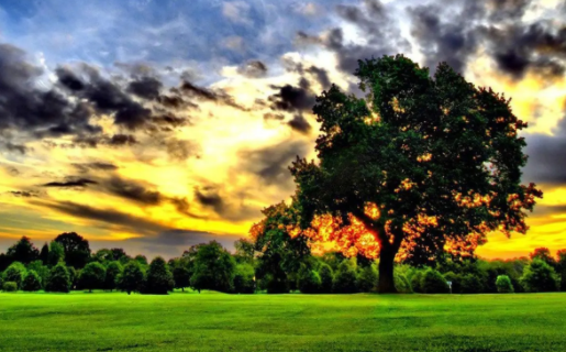 海映相机官方安卓版下载