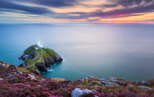 听果相机免费版app下载