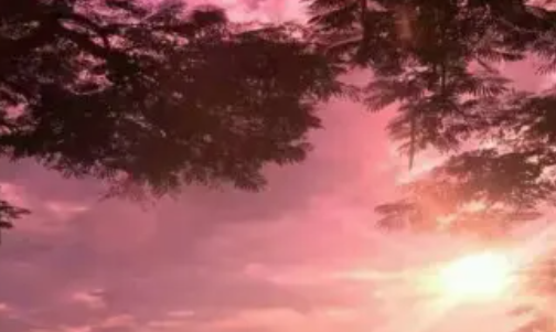 元气AI相机软件手机版下载