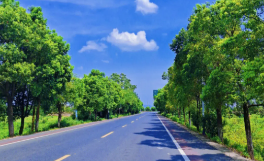 精品手机壁纸软件免费下载