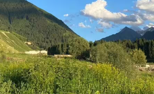 精品手机壁纸软件免费下载