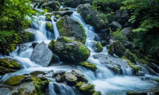 酷豆去水印软件下载免费版