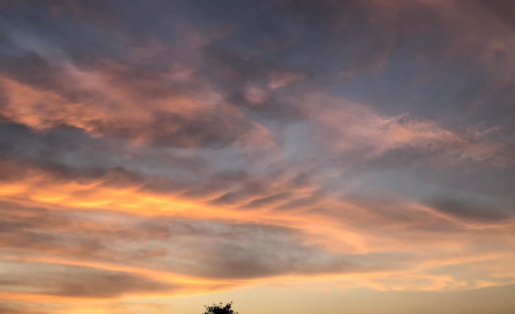 免费手机壁纸软件下载安装