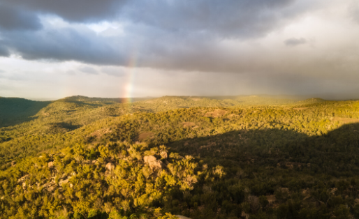 免费手机壁纸软件下载安装