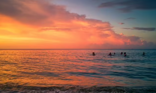 GIFcam动图录制app下载